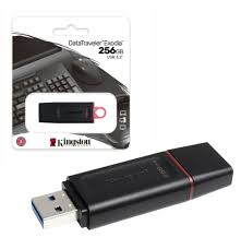 131-Pen Drive Kingston DTX 256GB *1*